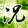 熊出没之夺宝熊兵